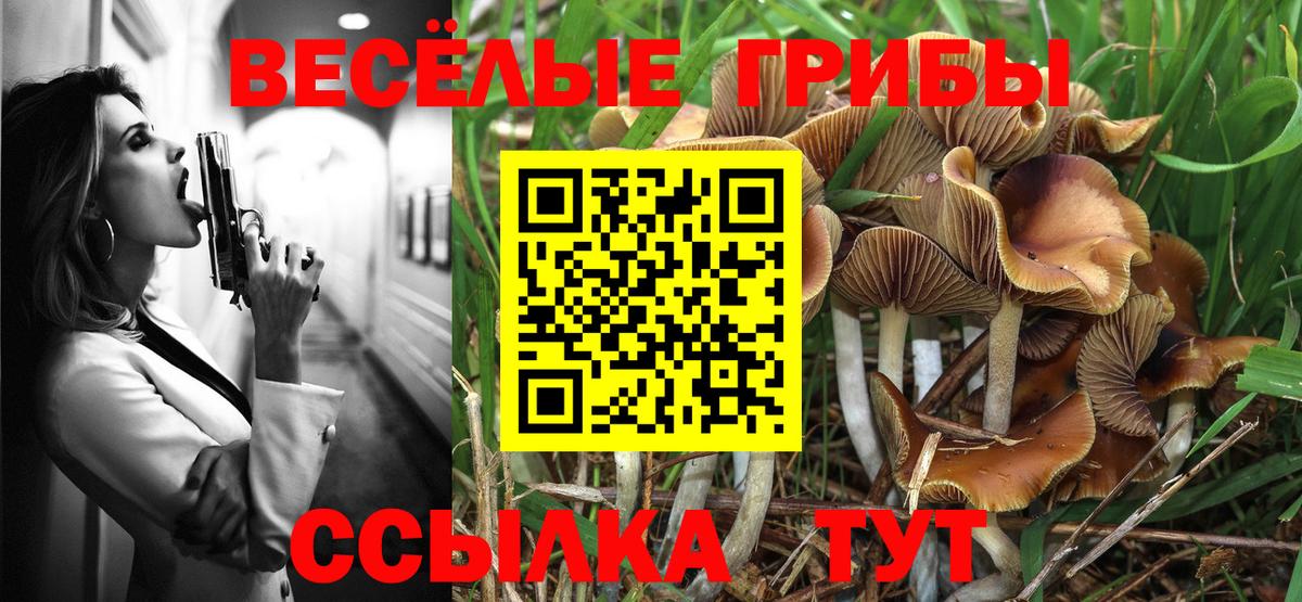Галлюциногенные грибы GOLDEN TEACHER  Галлюциногенные грибы Cubensis  Вход с VPN  Карасук 