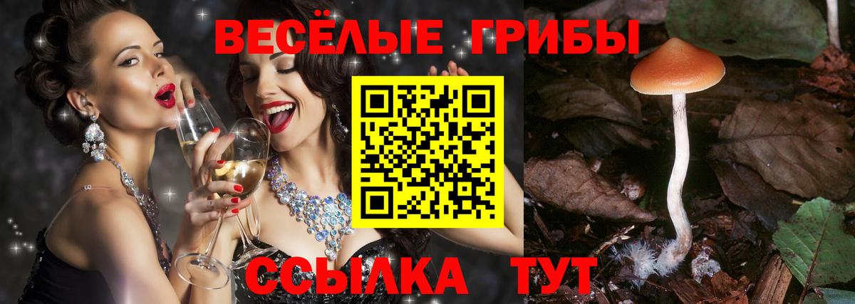 Псилоцибиновые грибы GOLDEN TEACHER Карасук