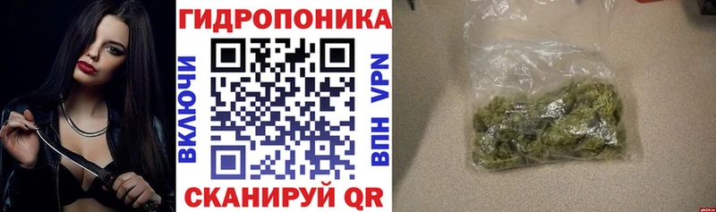 Бошки Шишки конопля  купить закладку  Карасук 